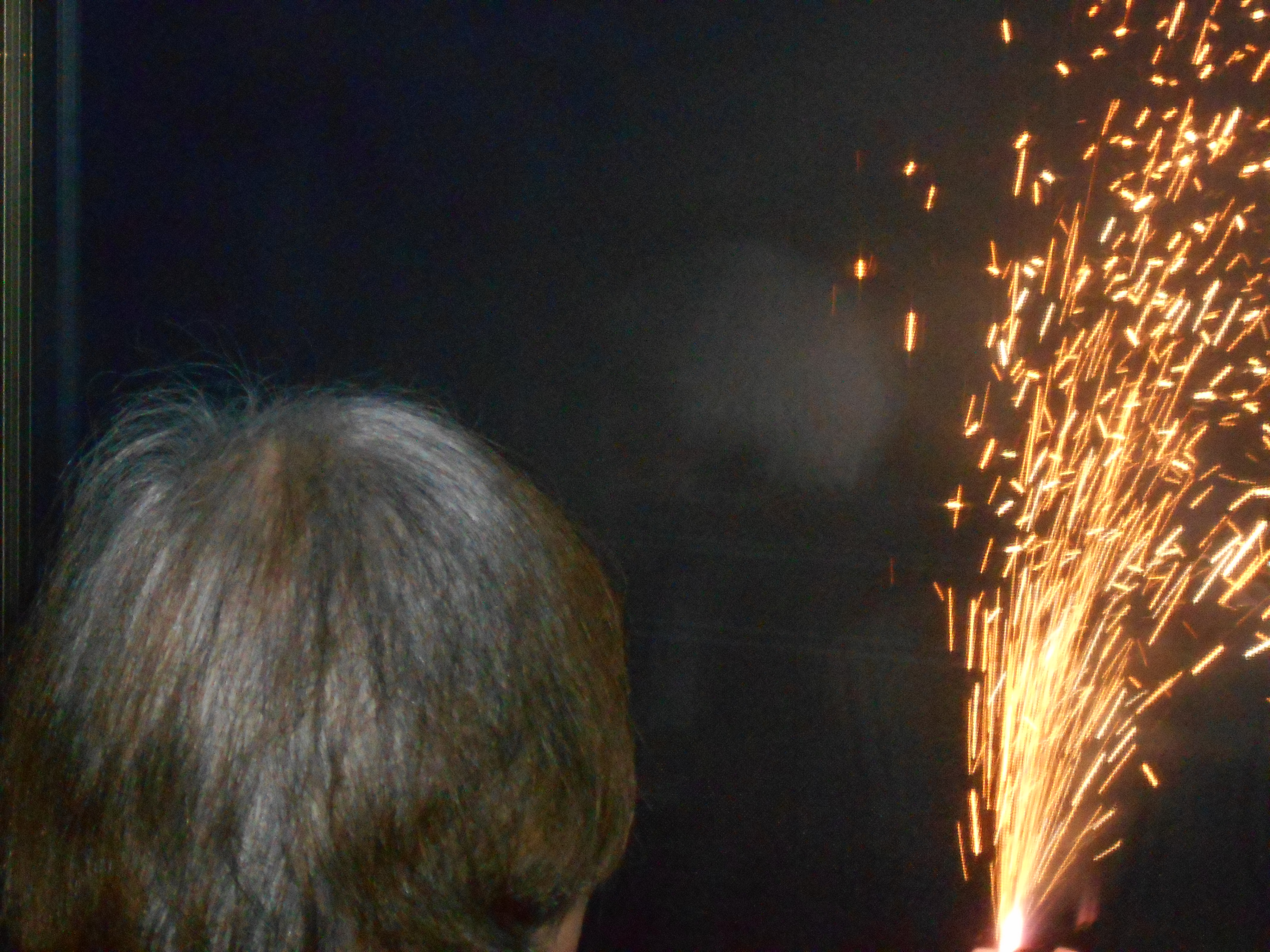 有料老人ホームはhitowaケアサービスのイリーゼへ 公式 イリーゼ日記